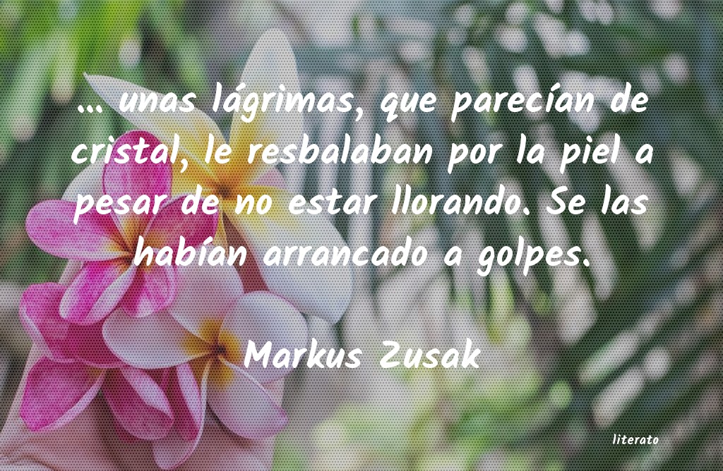 frases de Markus Zusak