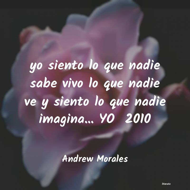 Frases de Andrew Morales