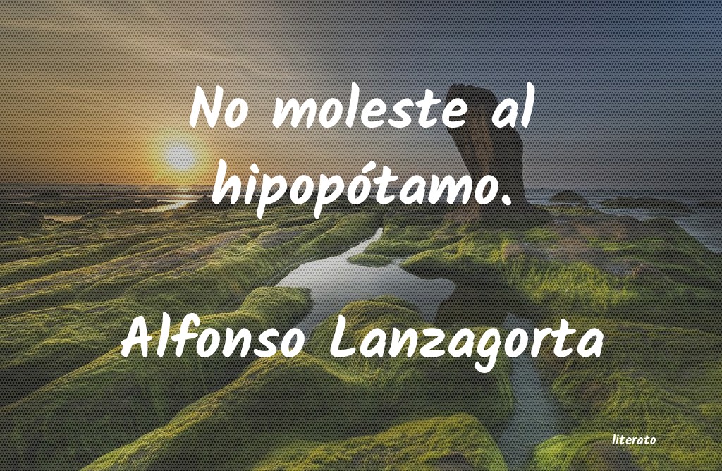 frases de Alfonso Lanzagorta