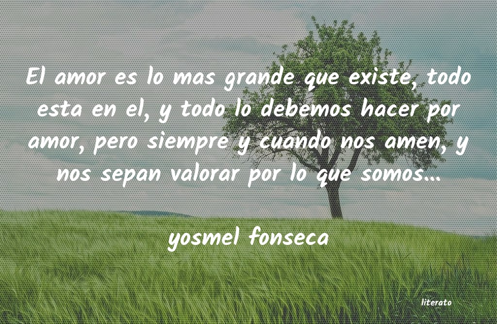 Frases de yosmel fonseca