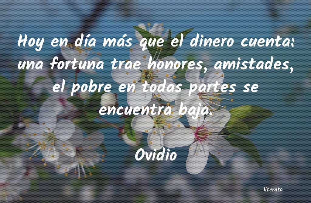 Frases de Ovidio