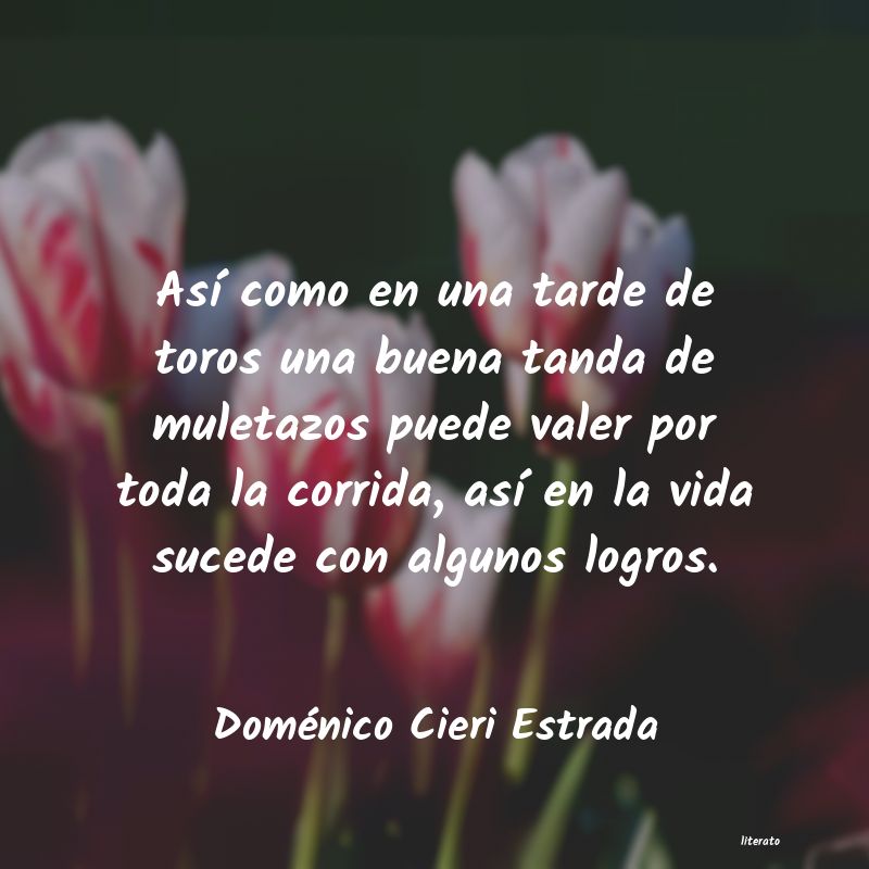 Frases de Doménico Cieri Estrada