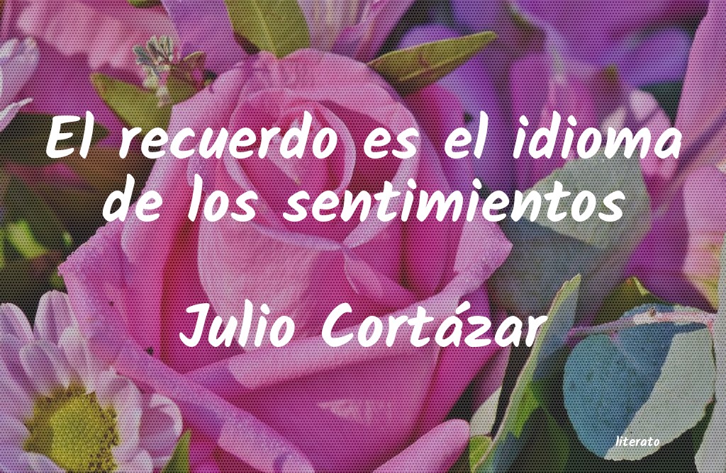 Frases de Julio Cortázar