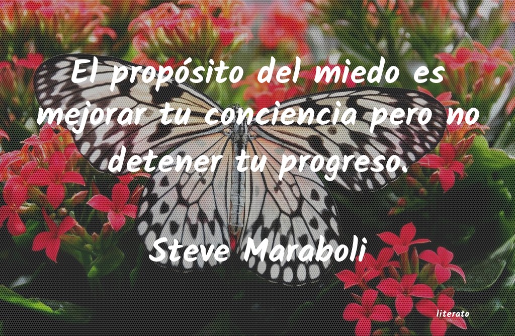 frases de Steve Maraboli