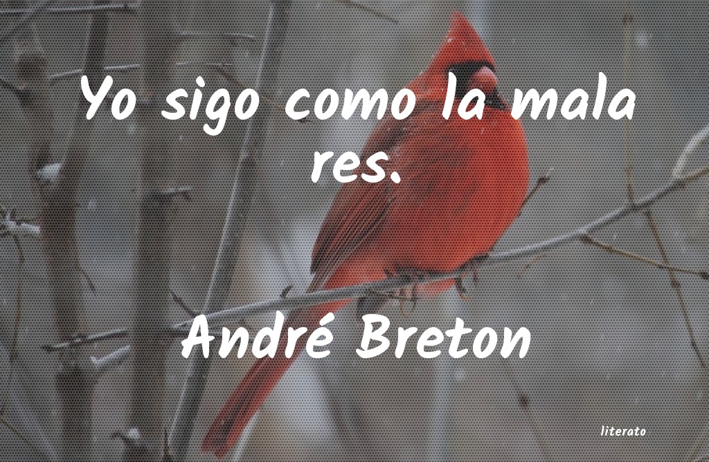 frases de André Breton