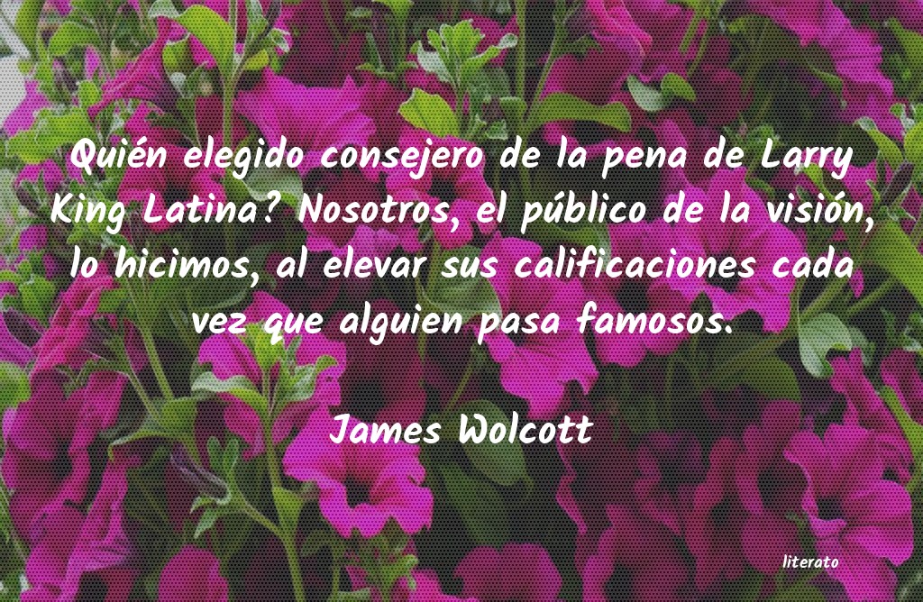 Frases de James Wolcott