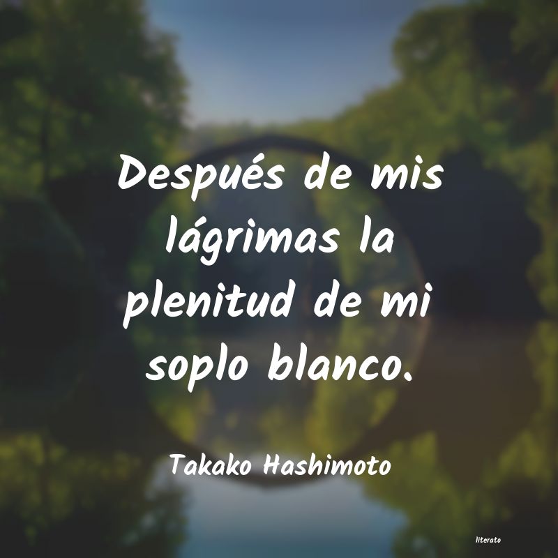 frases de Takako Hashimoto