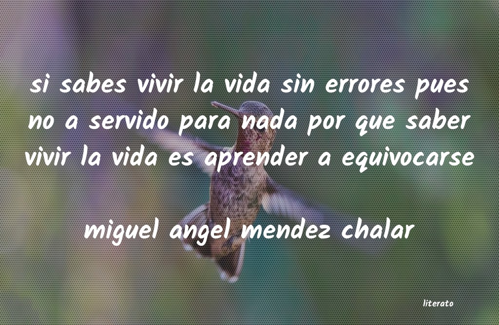 Frases de miguel angel mendez chalar