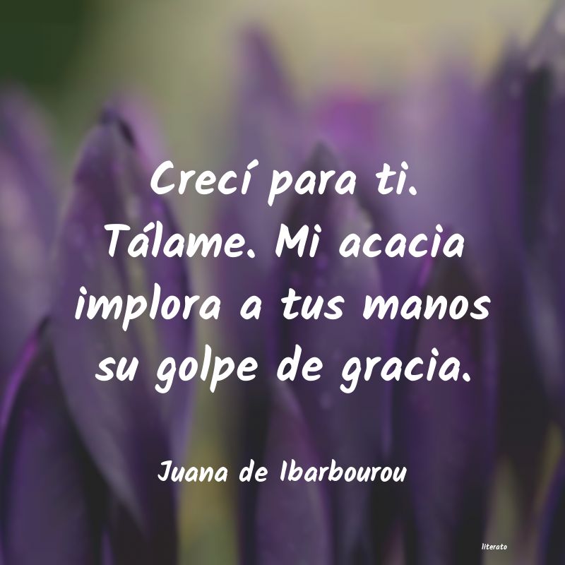 frases de Juana de Ibarbourou