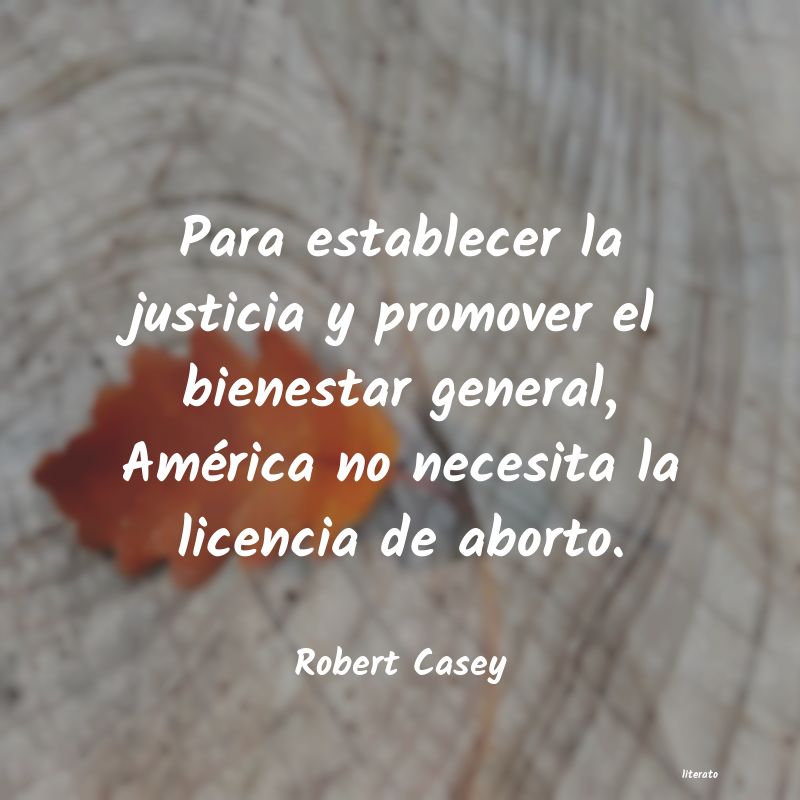 Frases de Robert Casey