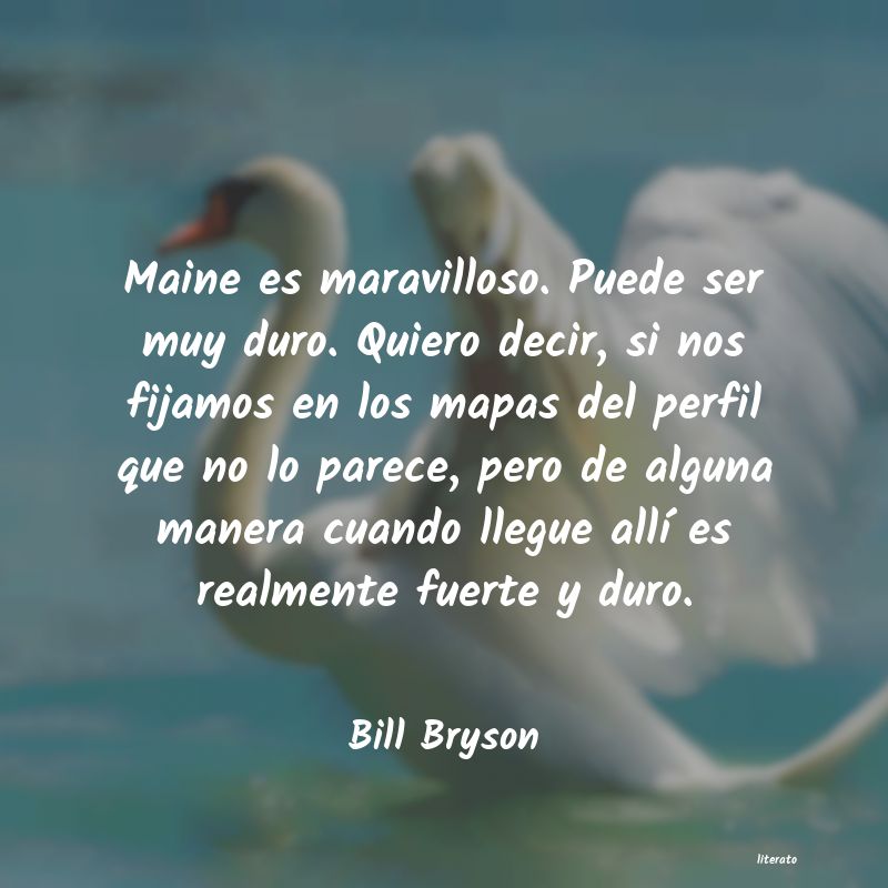 Frases de Bill Bryson