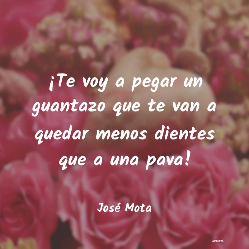 Frases de José Mota