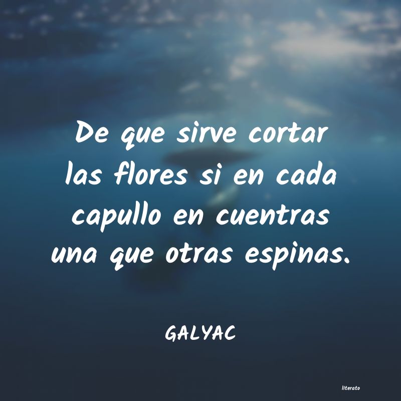 frases de GALYAC