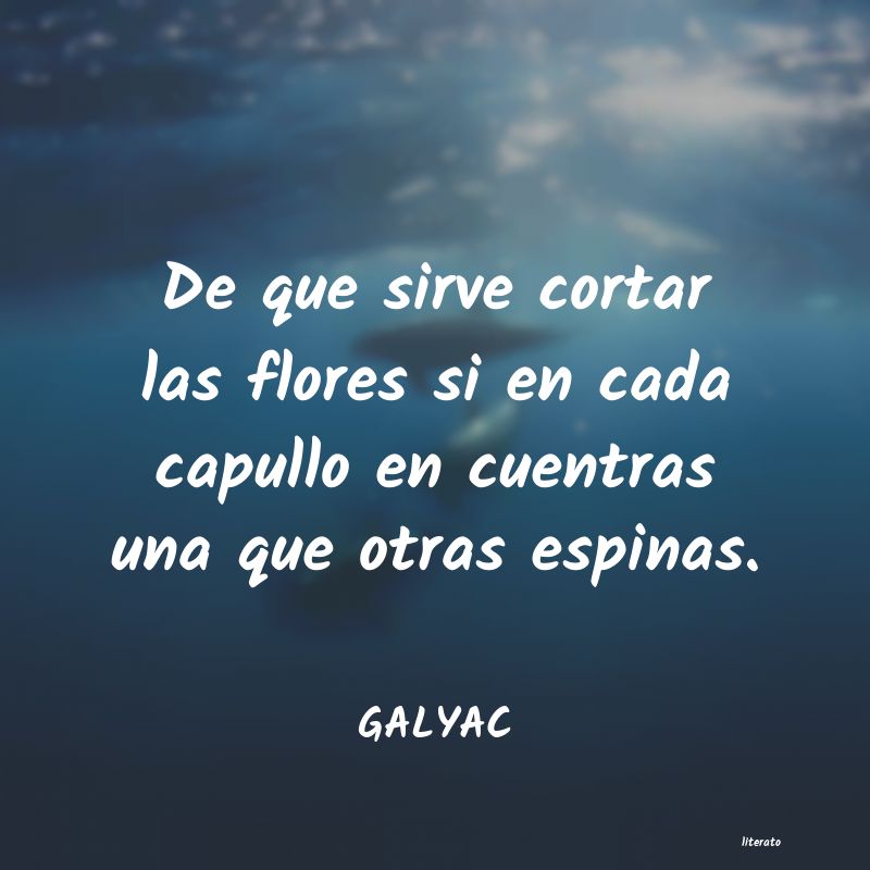 Frases de GALYAC