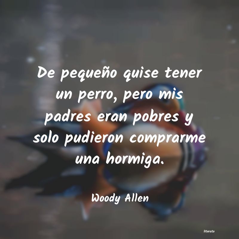 Frases de Woody Allen