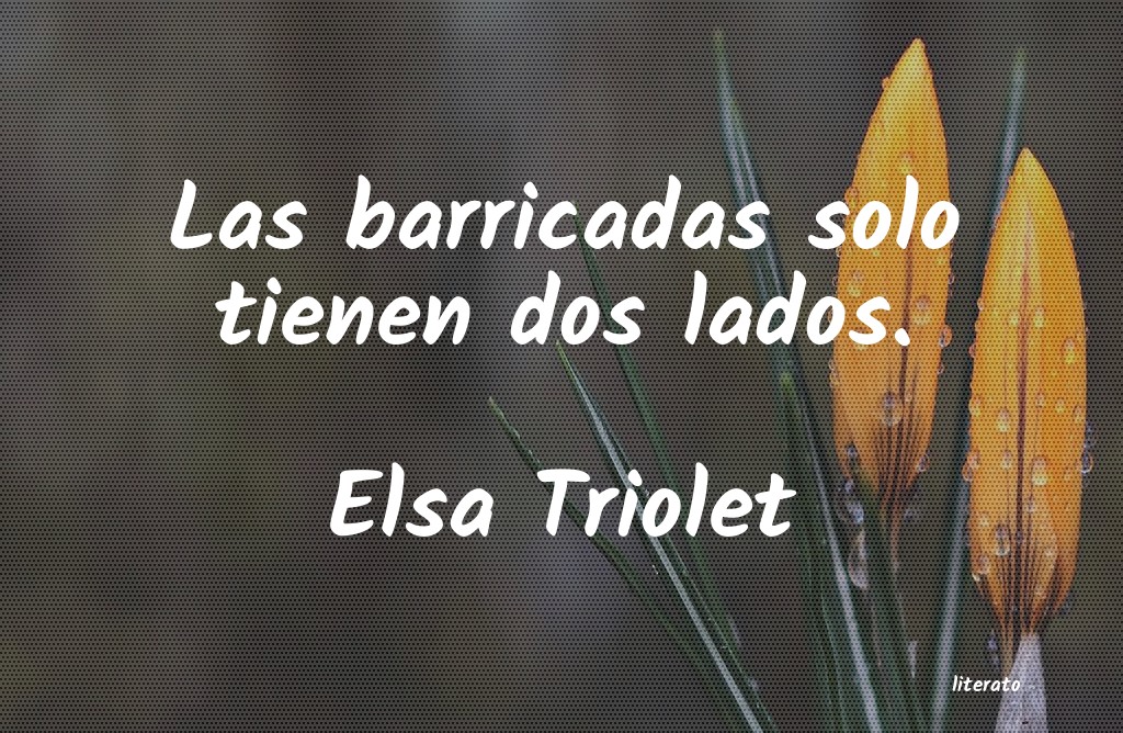 Frases de Elsa Triolet