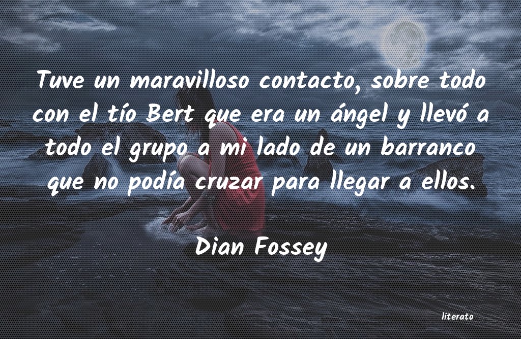 Frases de Dian Fossey