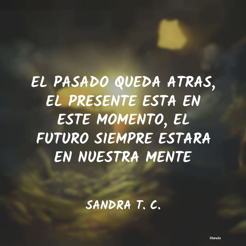 frases de SANDRA T. C.