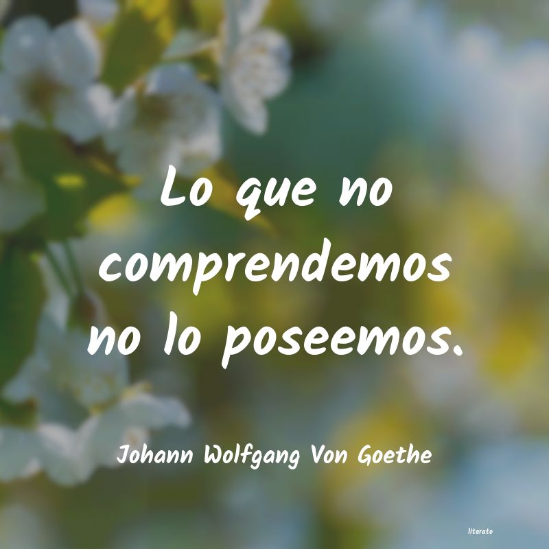 frases de Johann Wolfgang Von Goethe