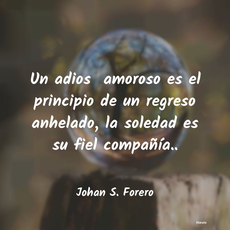 Frases de Johan S. Forero