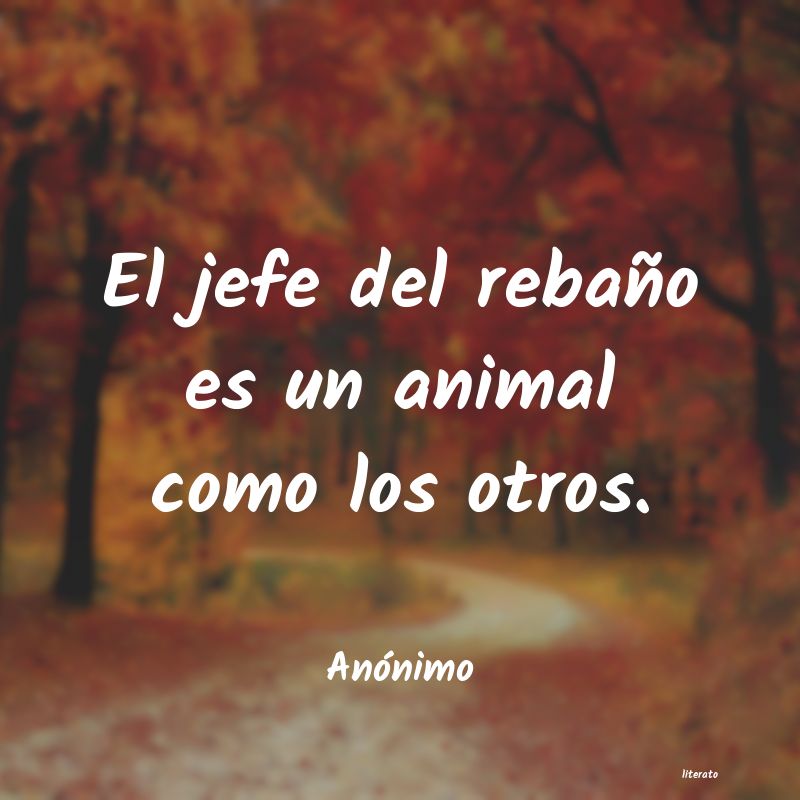 frases