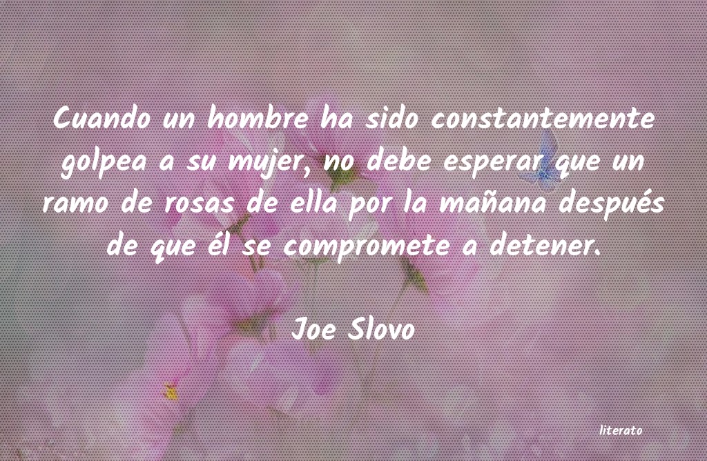 Frases de Joe Slovo