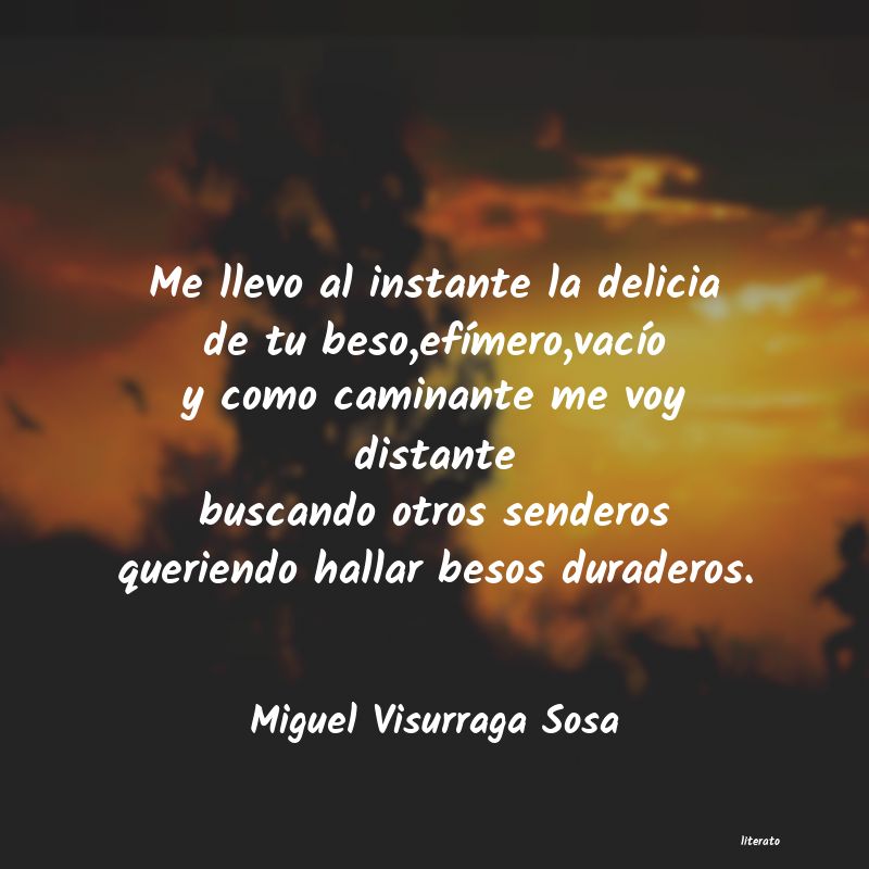 Frases de Miguel Visurraga Sosa