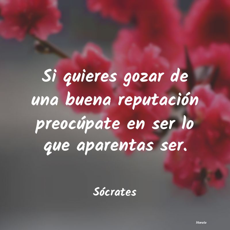 Frases de Sócrates