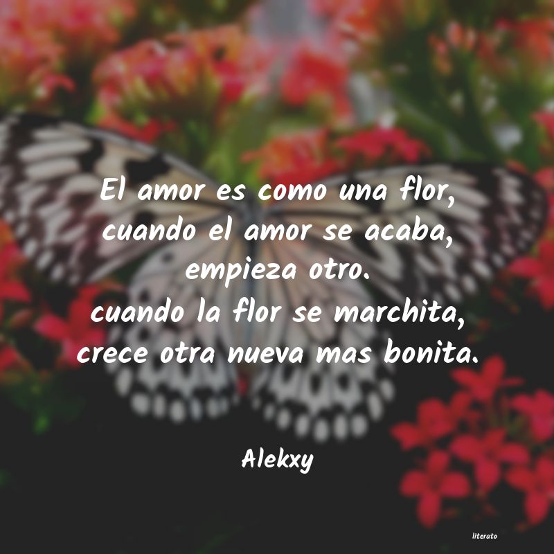 Frases de Alekxy