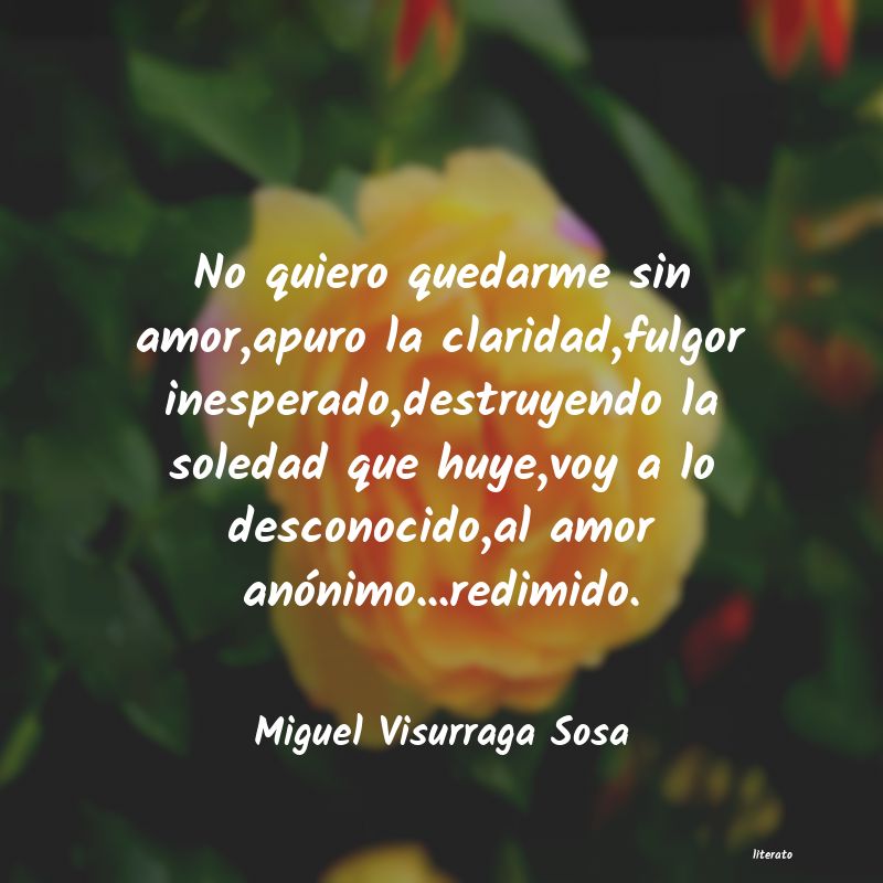 Frases de Miguel Visurraga Sosa