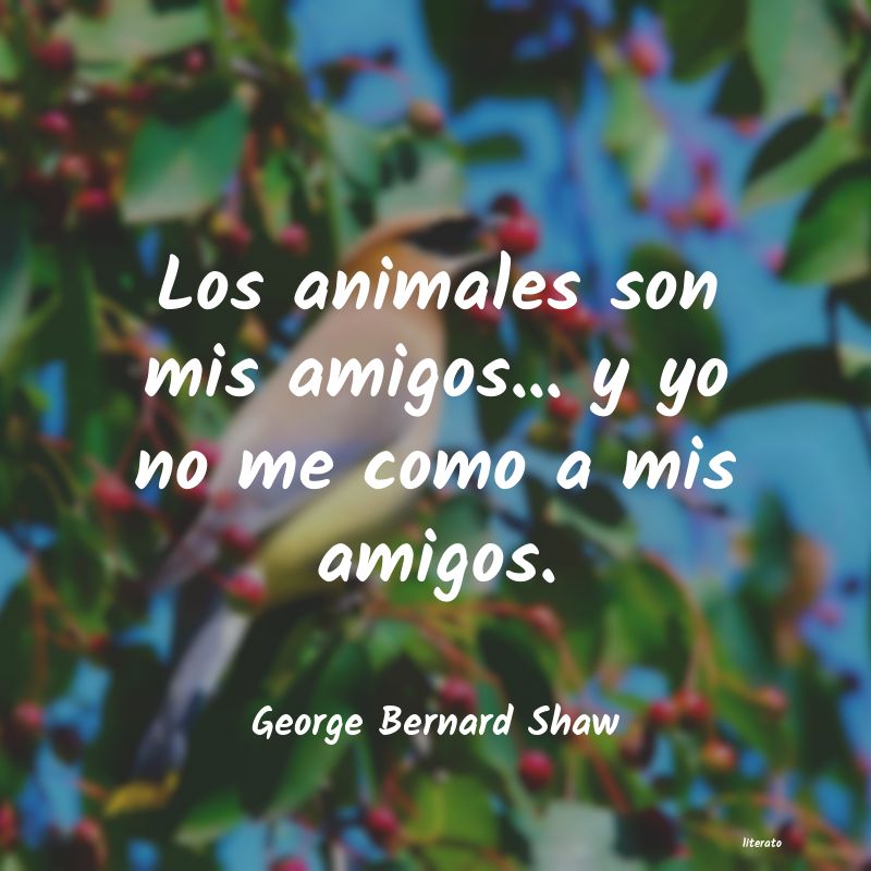 frases de George Bernard Shaw