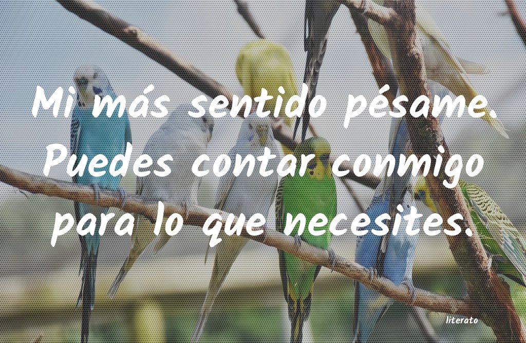 frases