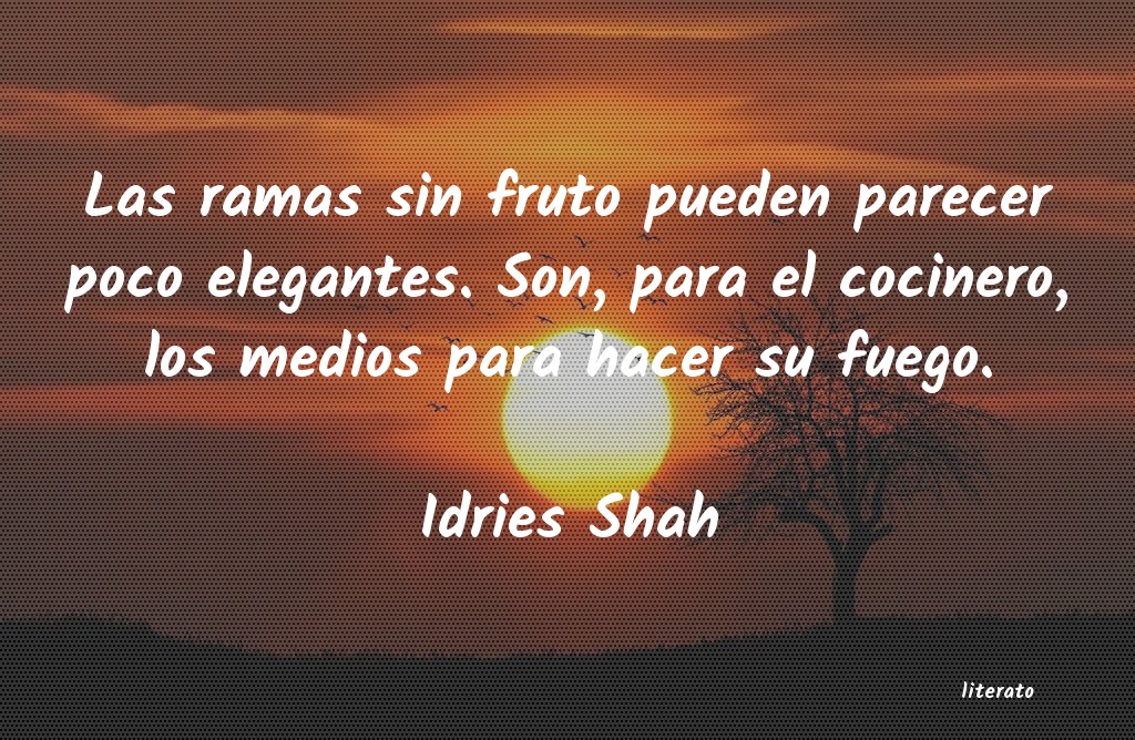 Frases de Idries Shah