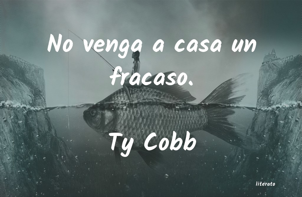 Frases de Ty Cobb