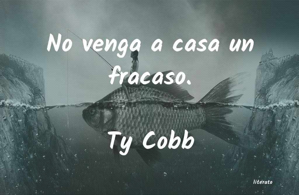 frases de Ty Cobb