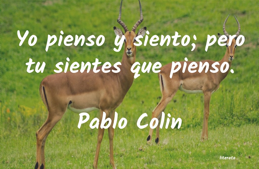 Frases de Pablo Colin