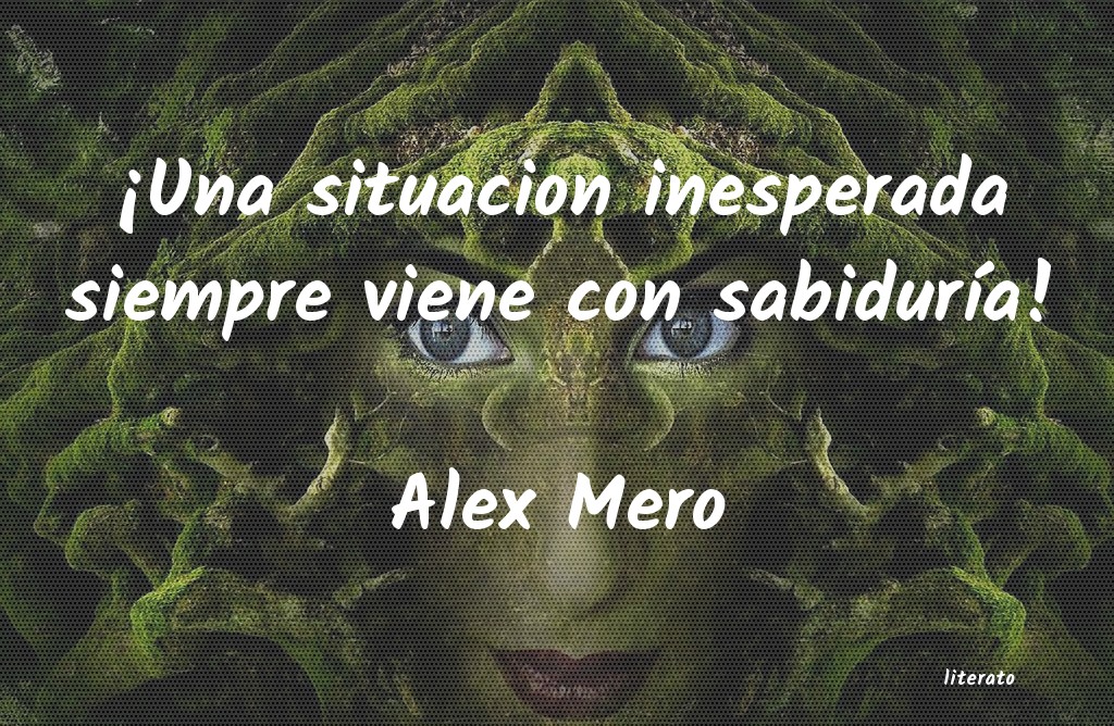 Frases de Alex Mero