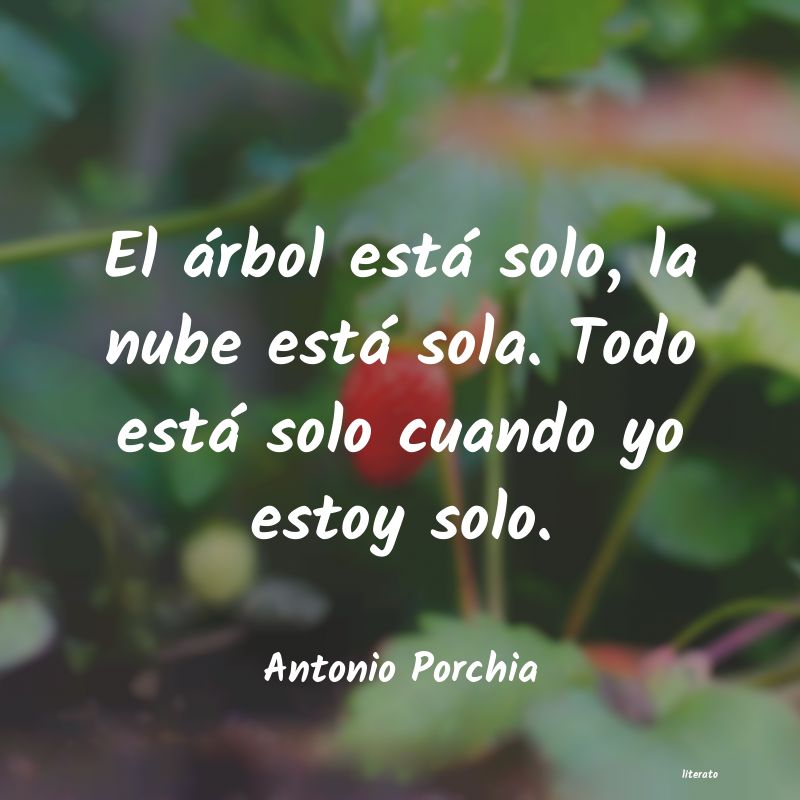 frases de Antonio Porchia