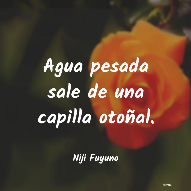 frases de Niji Fuyuno