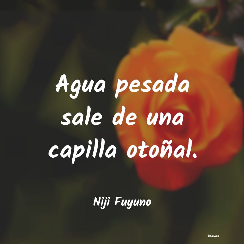 Frases de Niji Fuyuno