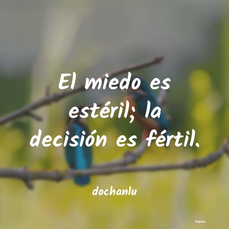 Frases de dochanlu