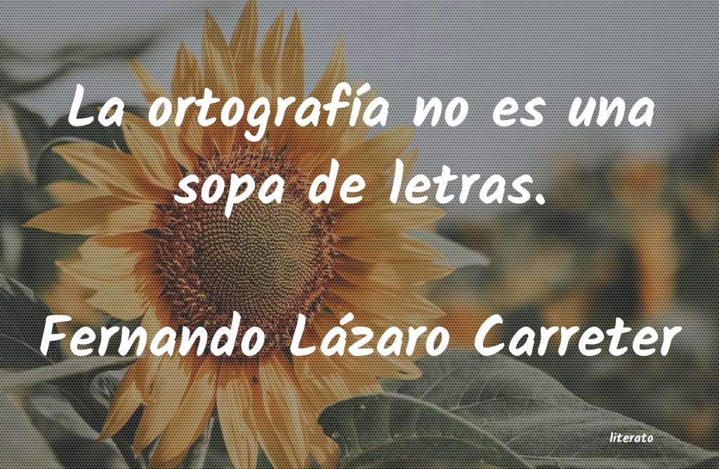 Frases de Fernando Lázaro Carreter