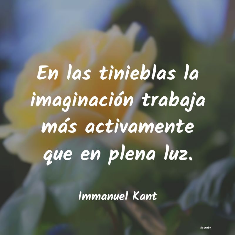 Frases de Immanuel Kant