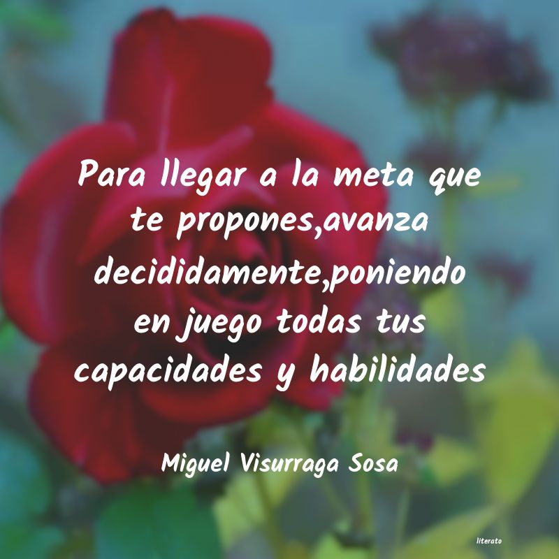 Frases de Miguel Visurraga Sosa