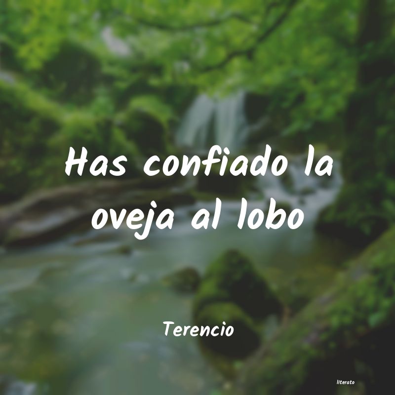 Frases de Terencio