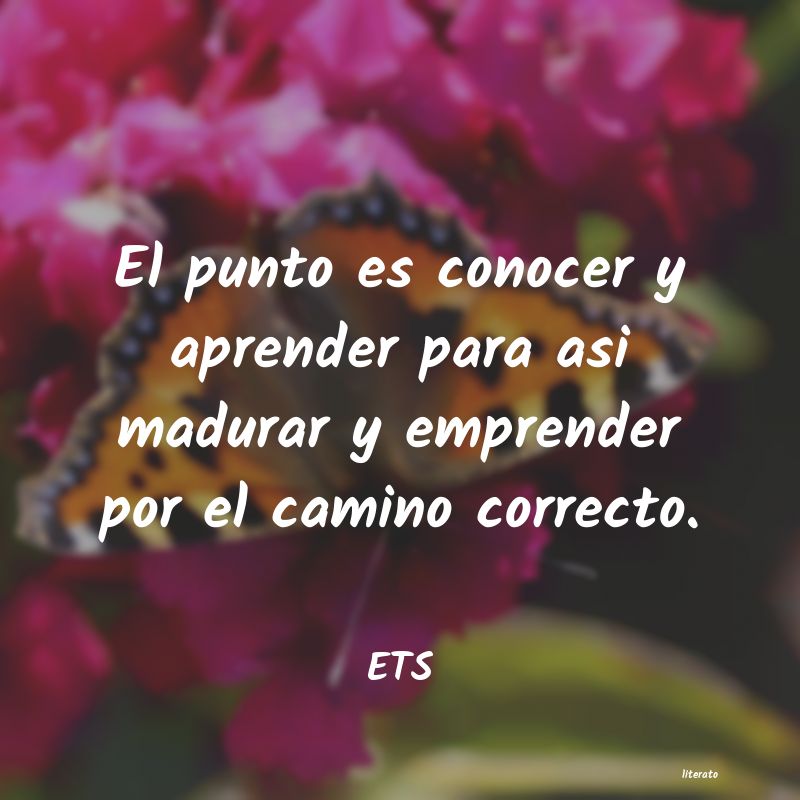 Frases de ETS