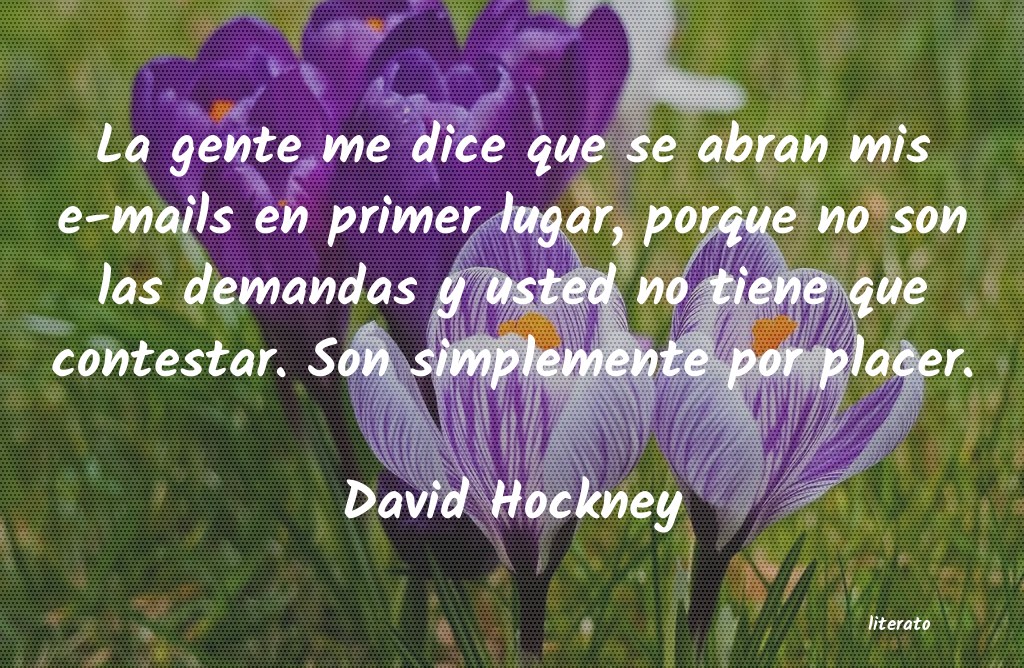 Frases de David Hockney