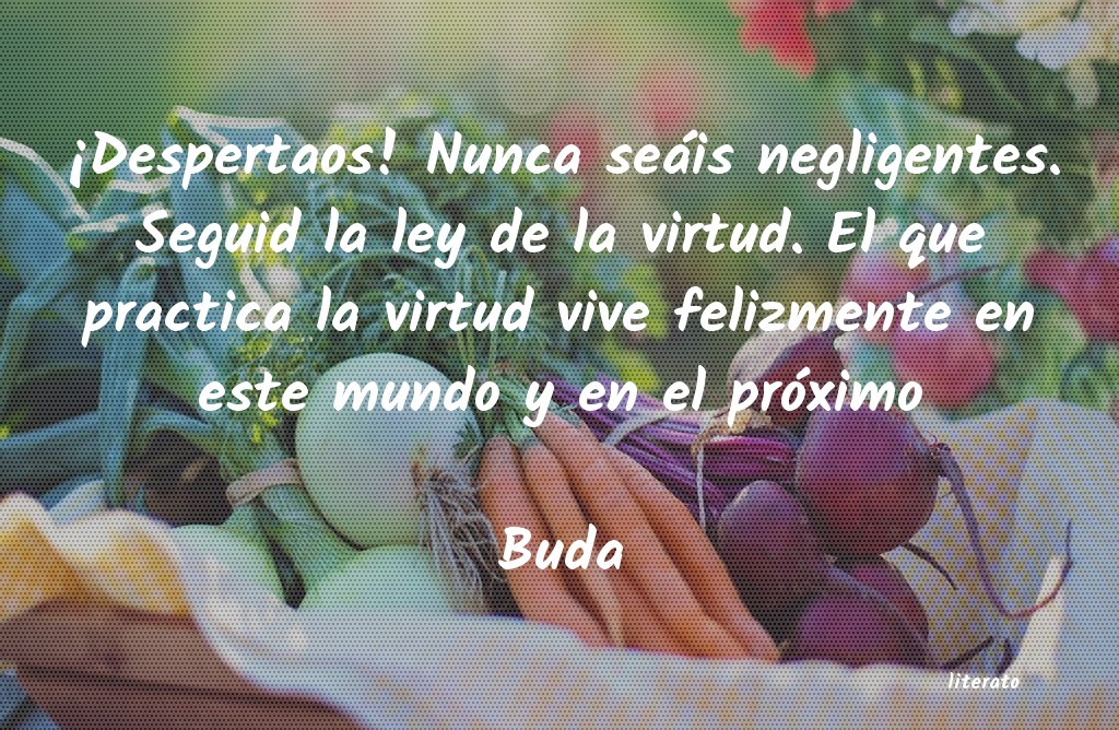 frases para poner en practica