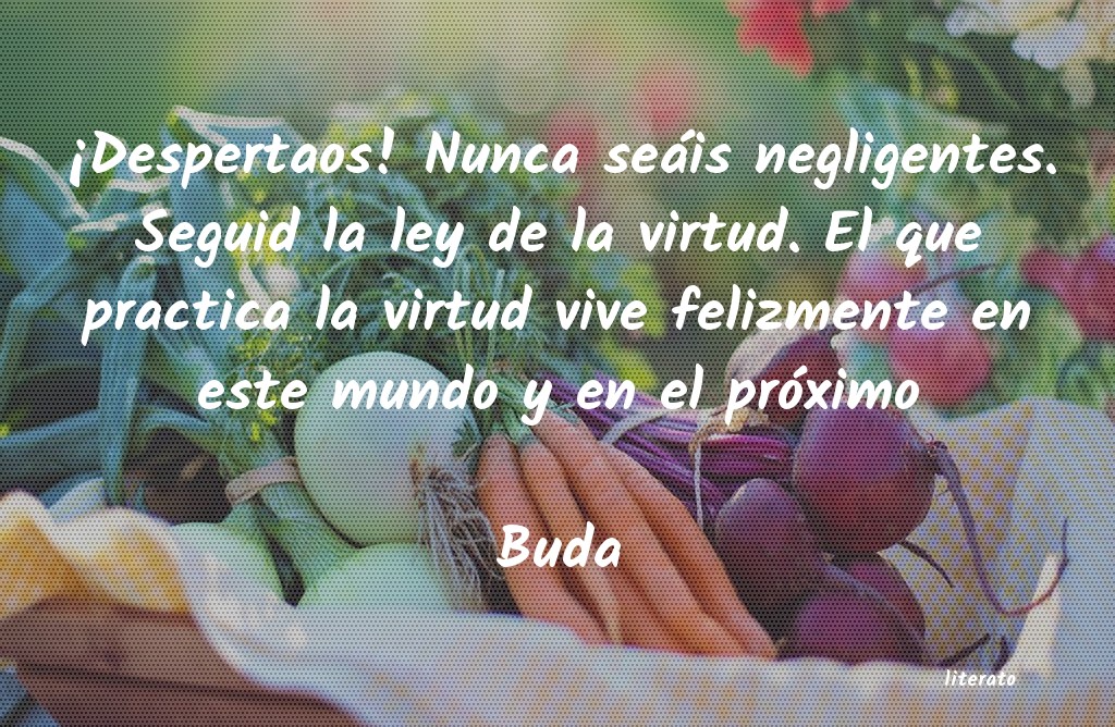 Frases de Buda