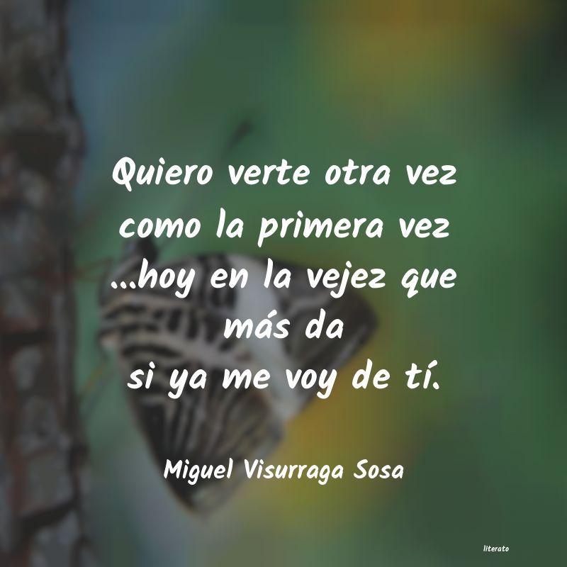 frases de Miguel Visurraga Sosa